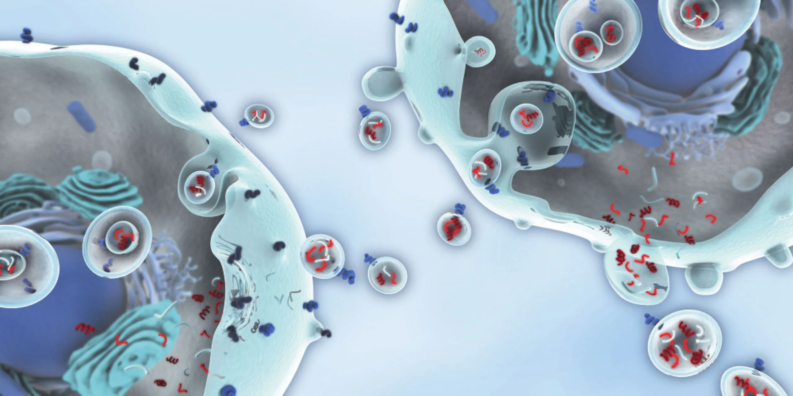 Exosome thực vật – bước tiến mới trong tái tạo & trẻ hóa da tự nhiên